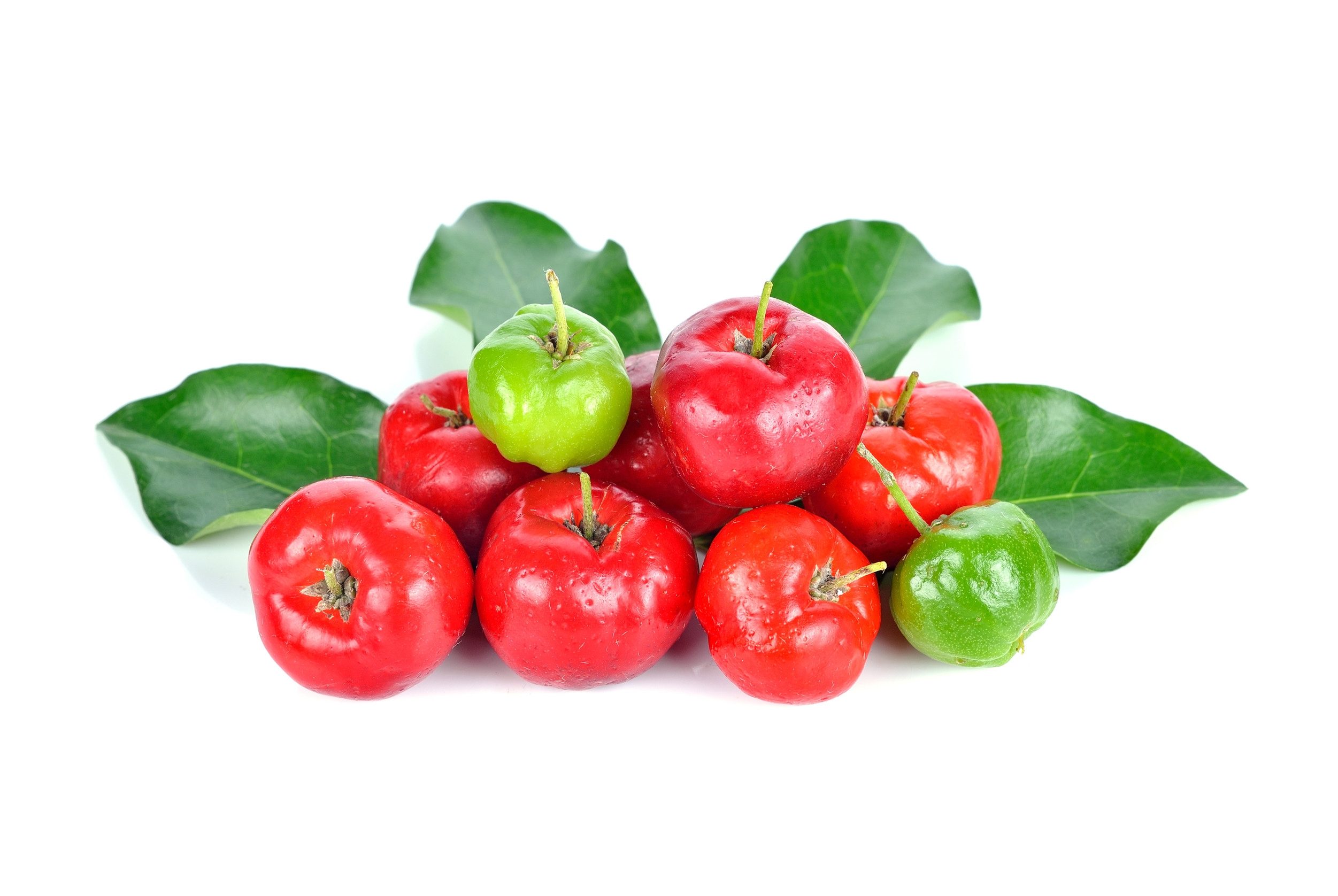 Ingredient: Acerola Fruit Extract